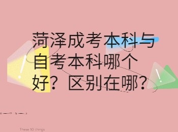 菏澤成考本科與自考本科哪個好？區別在哪？