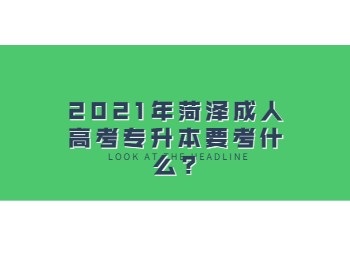 2021年菏澤成人高考專升本要考什么