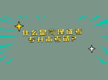 什么是菏澤成考專升本考試