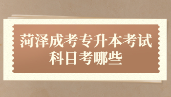 菏澤成考專升本考試科目