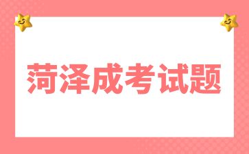 2024年菏澤成人高考專升本《教育理論》復習試題及答案(4)